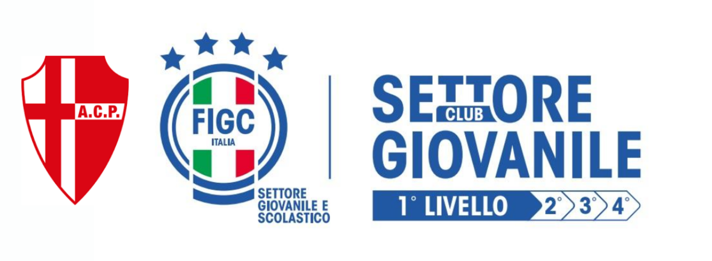 Settore Giovanile FIGC - 1° Livello